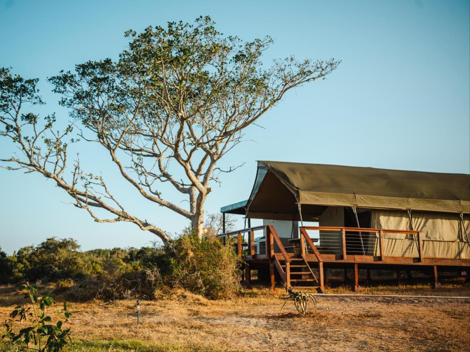 Longhill Reserve Addo Exterior photo