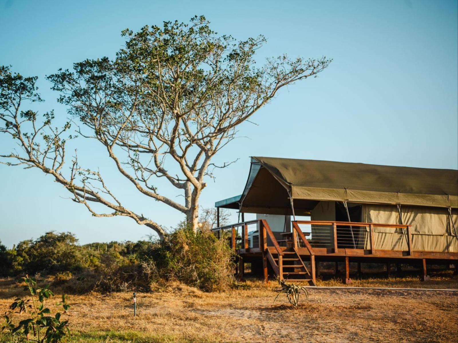 Longhill Reserve Villa Addo Exterior photo