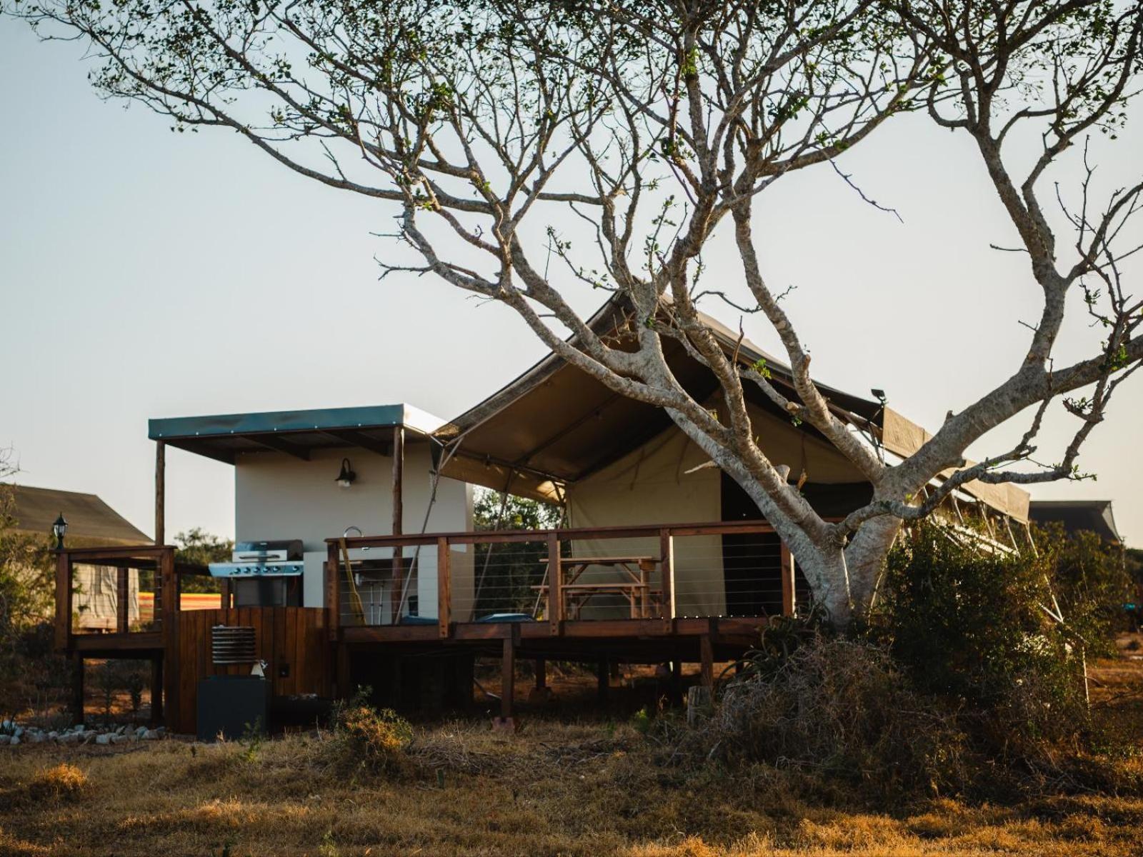 Longhill Reserve Villa Addo Exterior photo